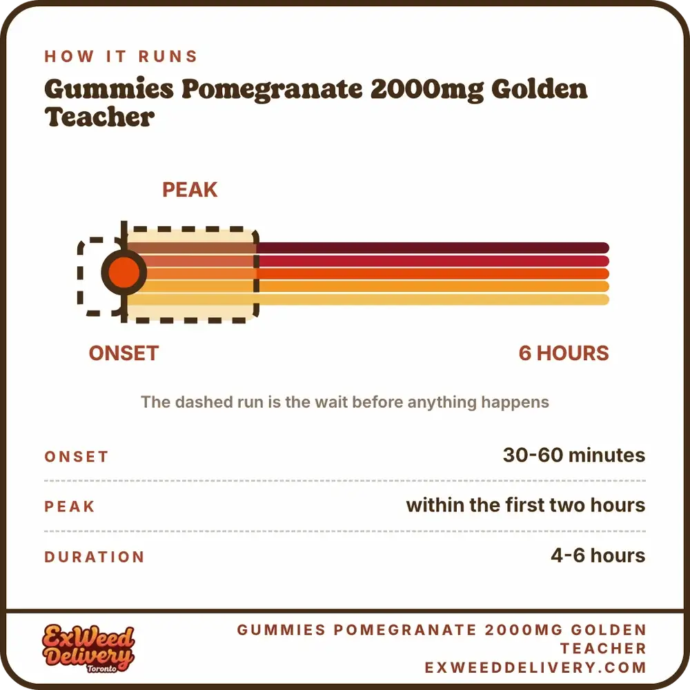 Gummies Pomegranate 2000mg Golden Teacher onset and duration