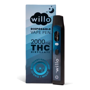 2000mg THC Disposable Vape Pen BLUEBERRY DOUGHNUT by Willo