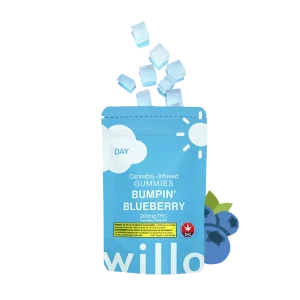 day thc gummies