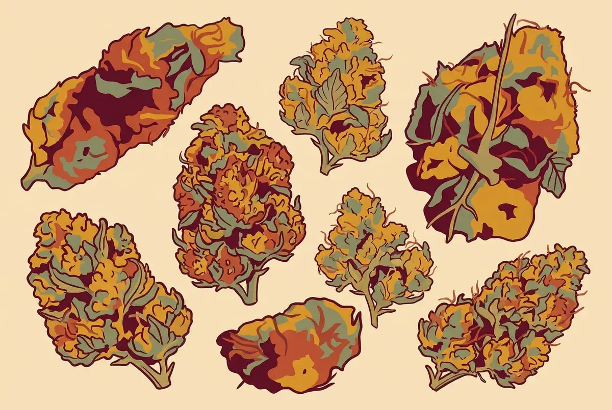 Eight cannabis buds of different size and density, the look of the weed grade ladder