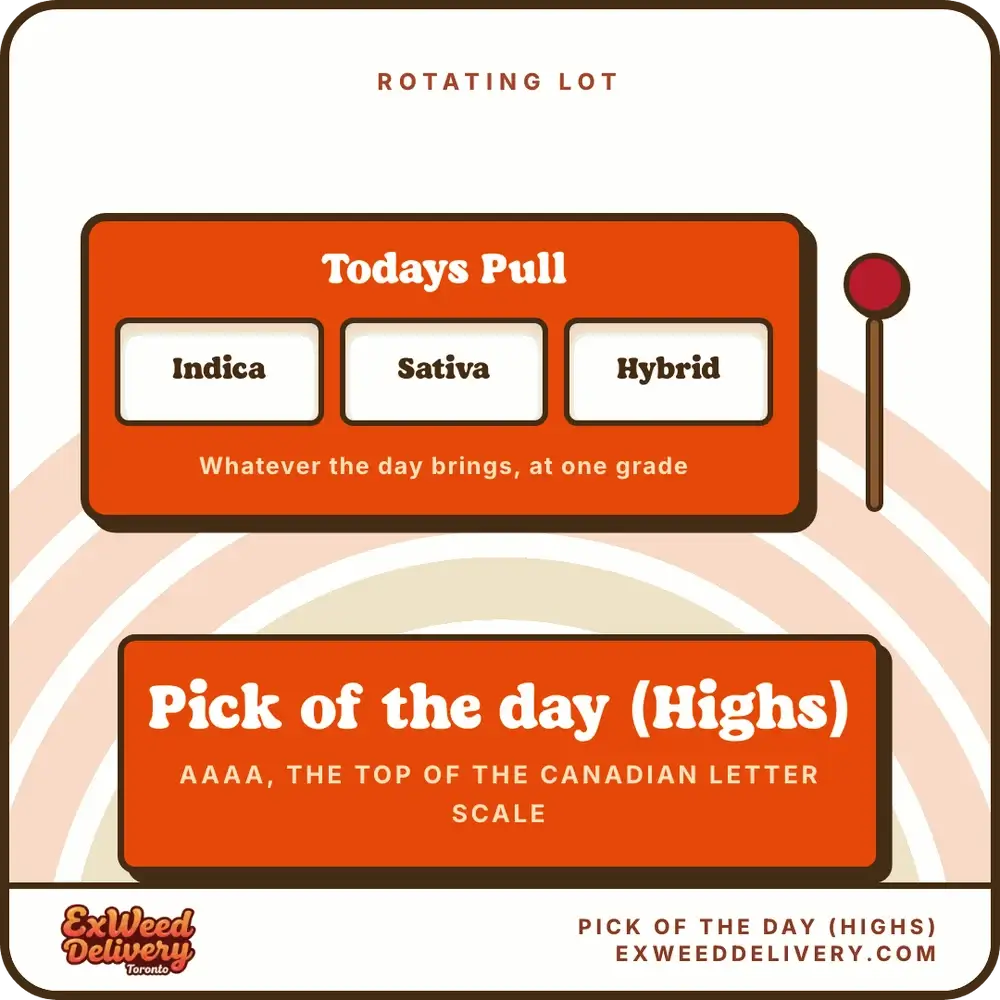 Pick of the day (Highs) rotating lot