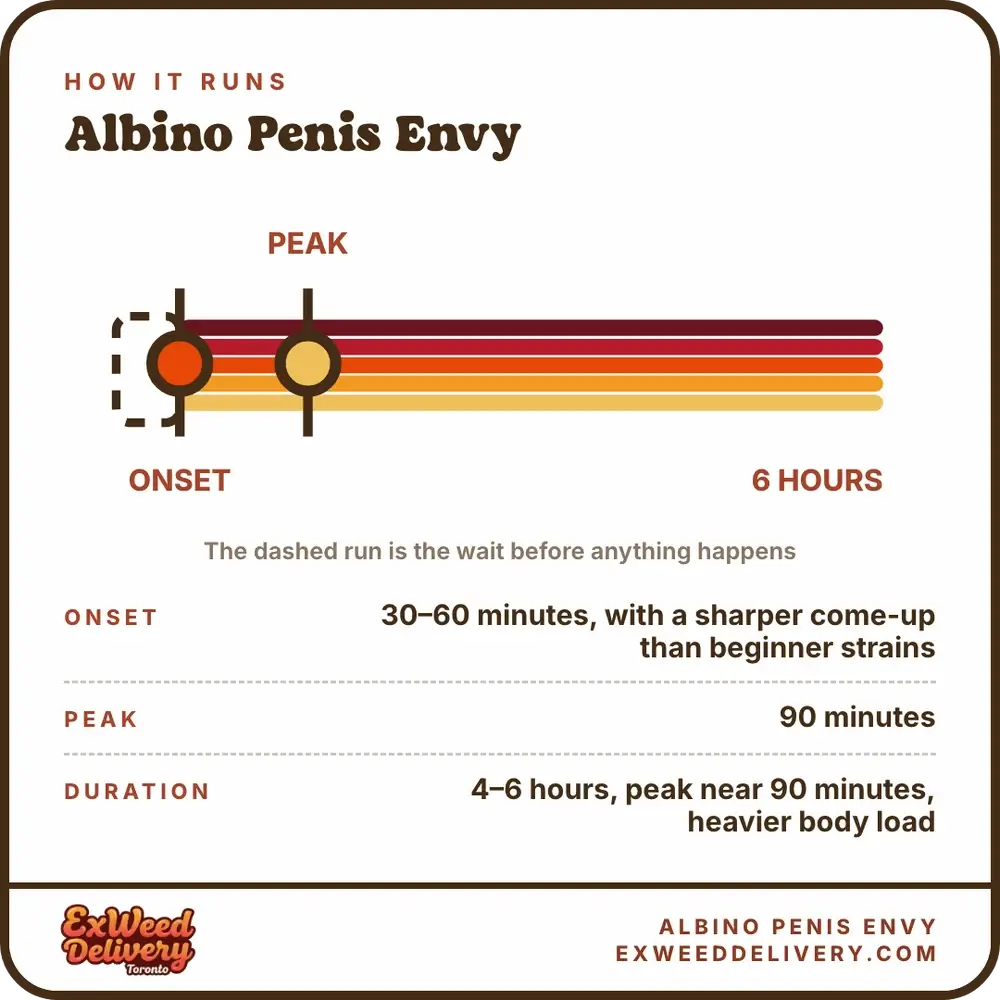 Albino Penis Envy onset and duration