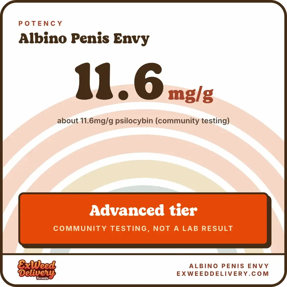 Albino Penis Envy potency