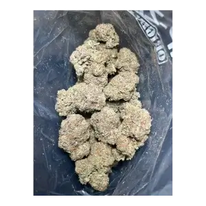 Alien Sherb