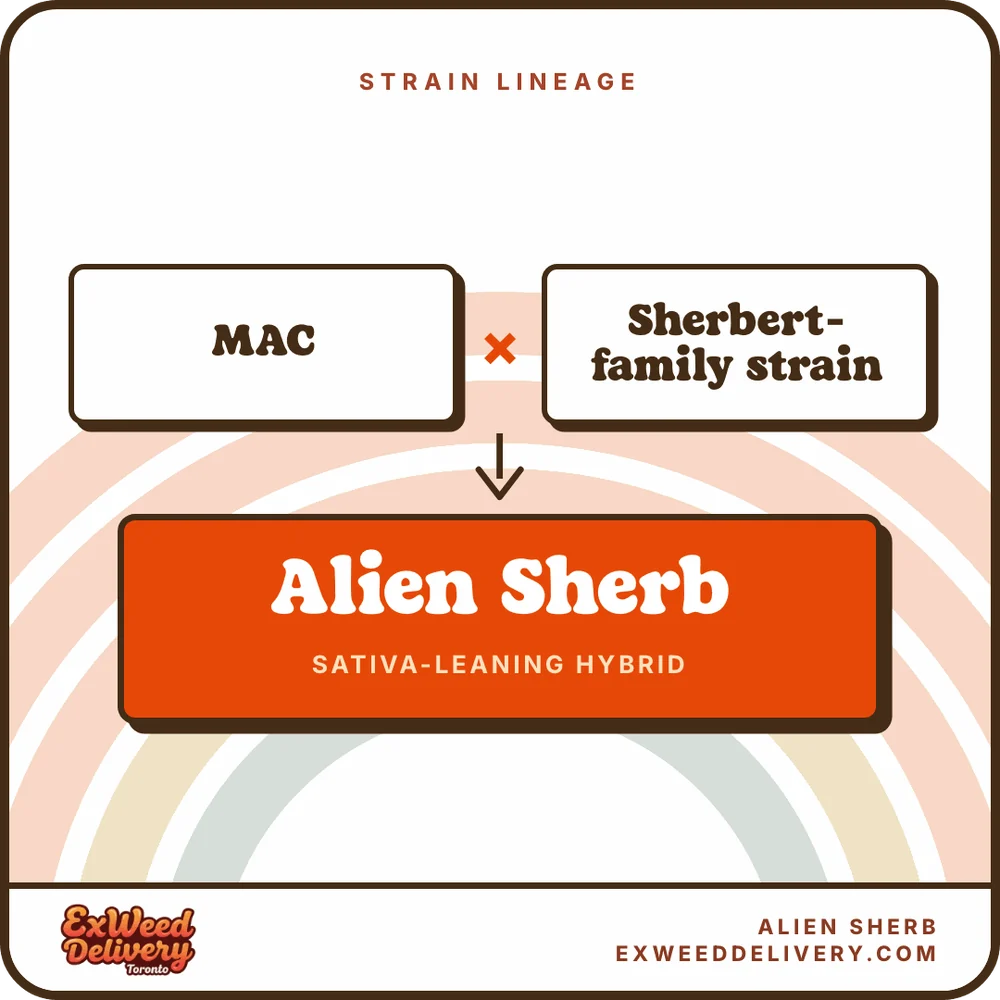 Alien Sherb lineage