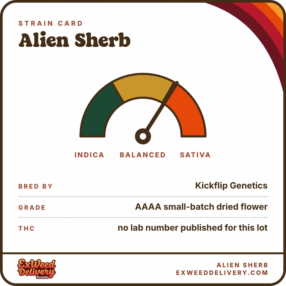 Alien Sherb specs