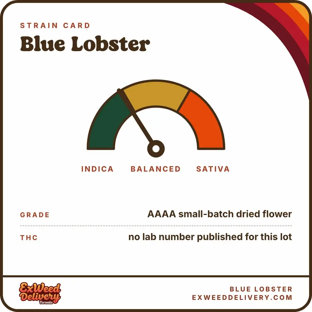Blue Lobster specs