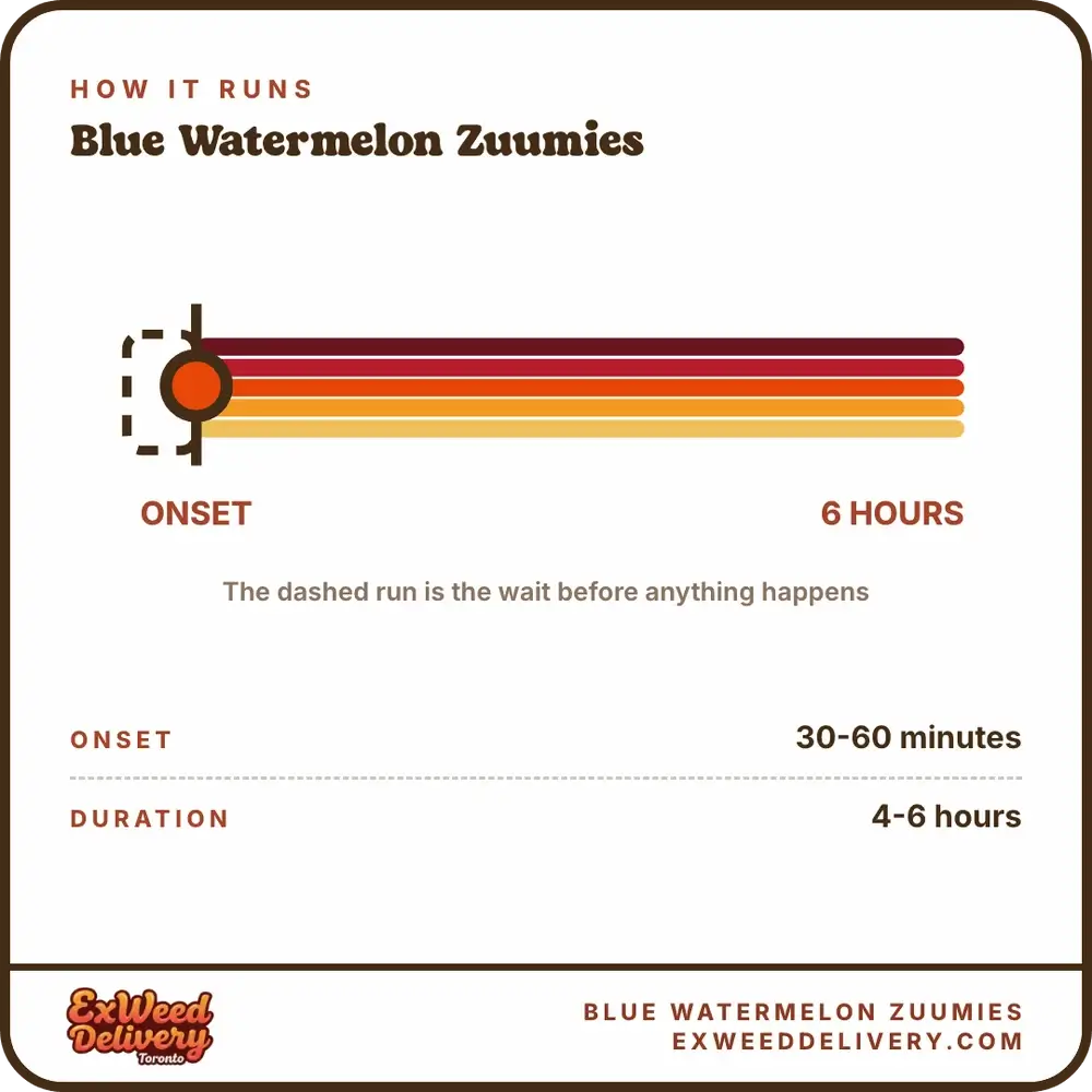 Blue Watermelon Zuumies onset and duration
