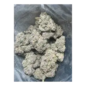 Candy Cartel