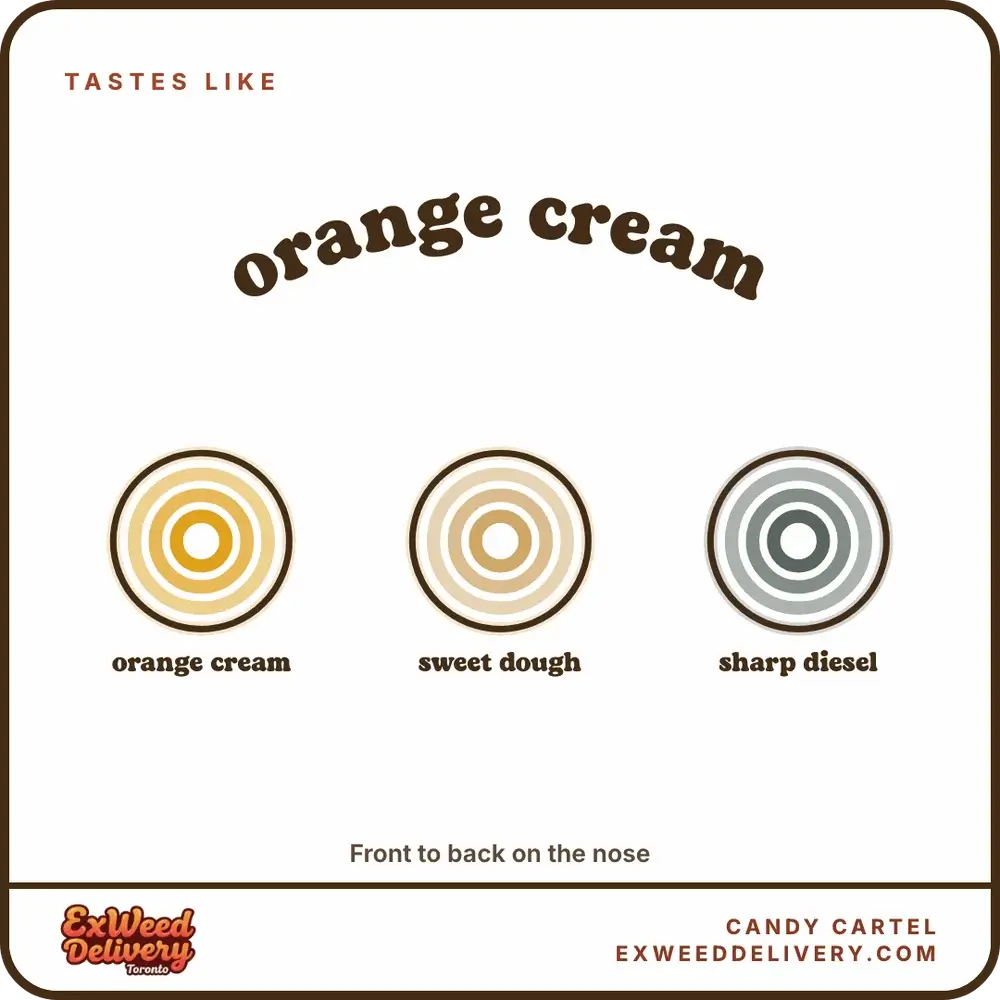Candy Cartel flavour