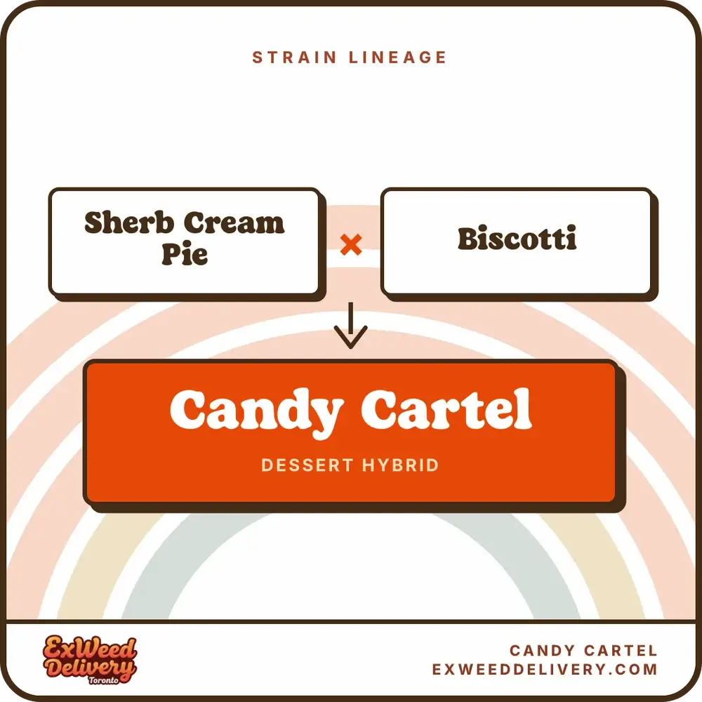 Candy Cartel lineage