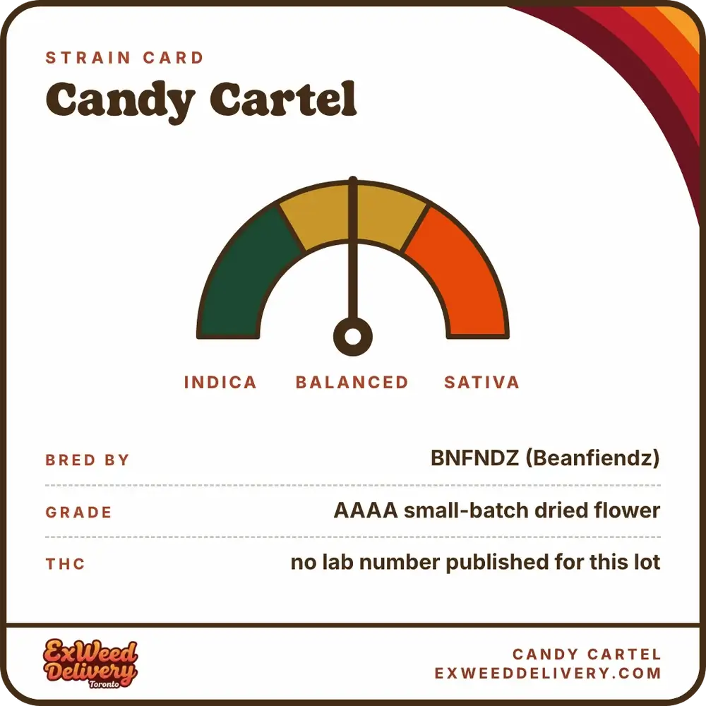 Candy Cartel specs