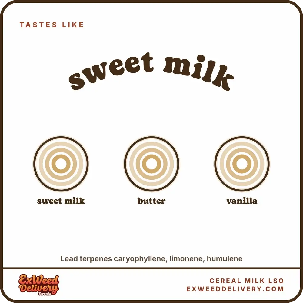 Cereal Milk LSO flavour