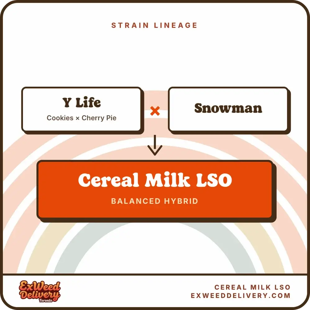 Cereal Milk LSO lineage