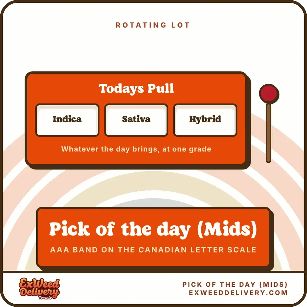 Pick of the day (Mids) rotating lot