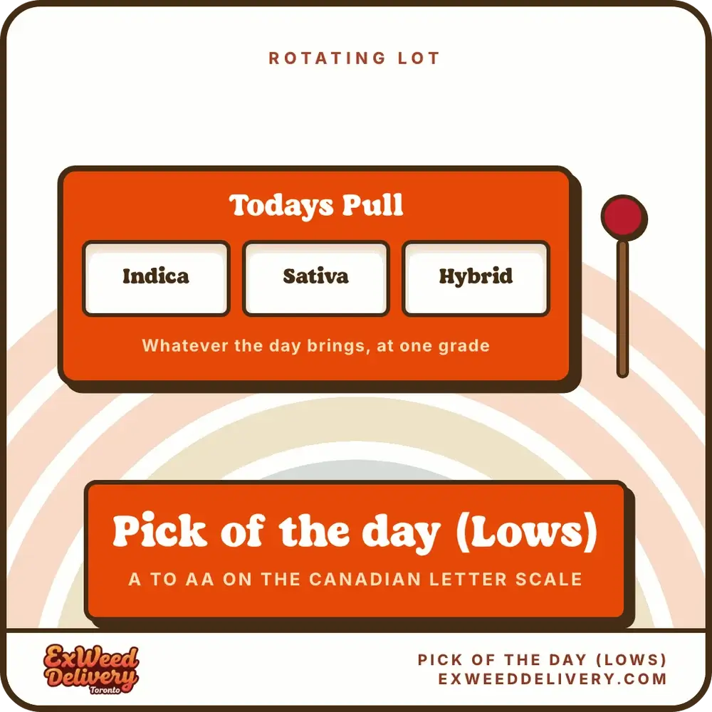 Pick of the day (Lows) rotating lot