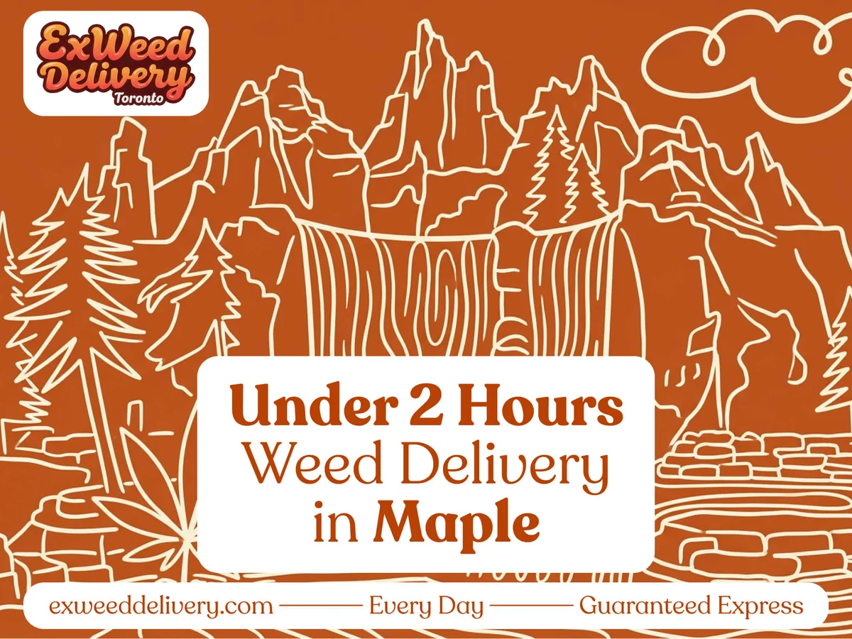 Weed delivery in Maple, Ontario by ExWeed Delivery