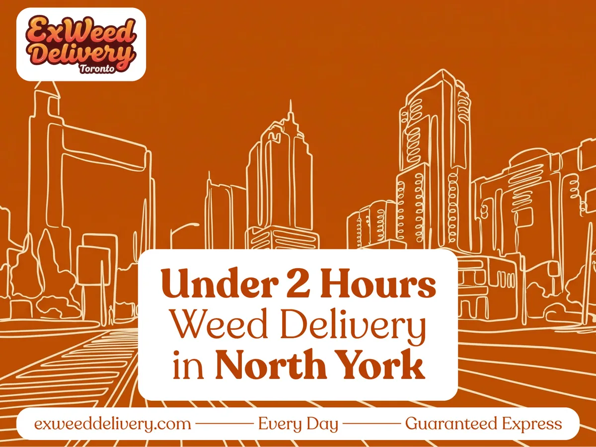 Weed delivery in North York, Ontario by ExWeed Delivery