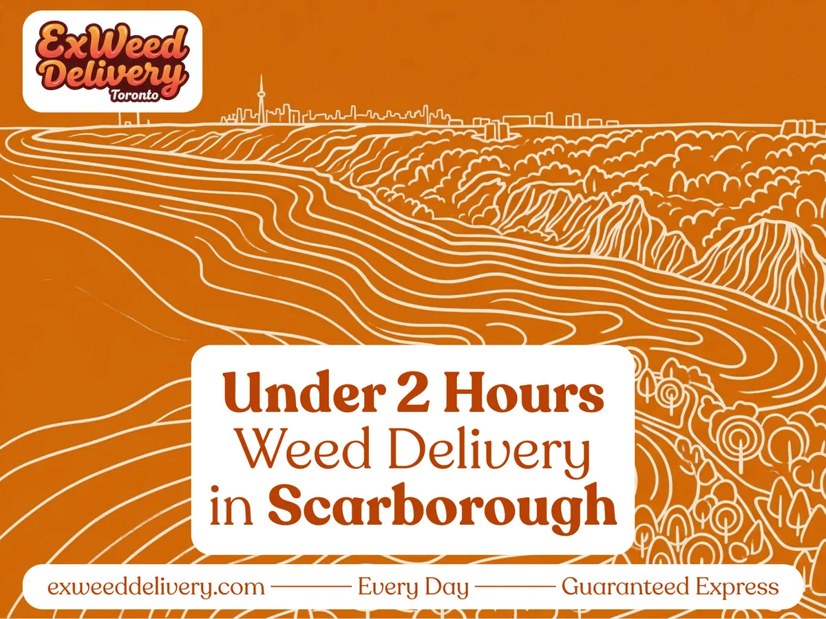 Weed delivery in Scarborough, Ontario by ExWeed Delivery