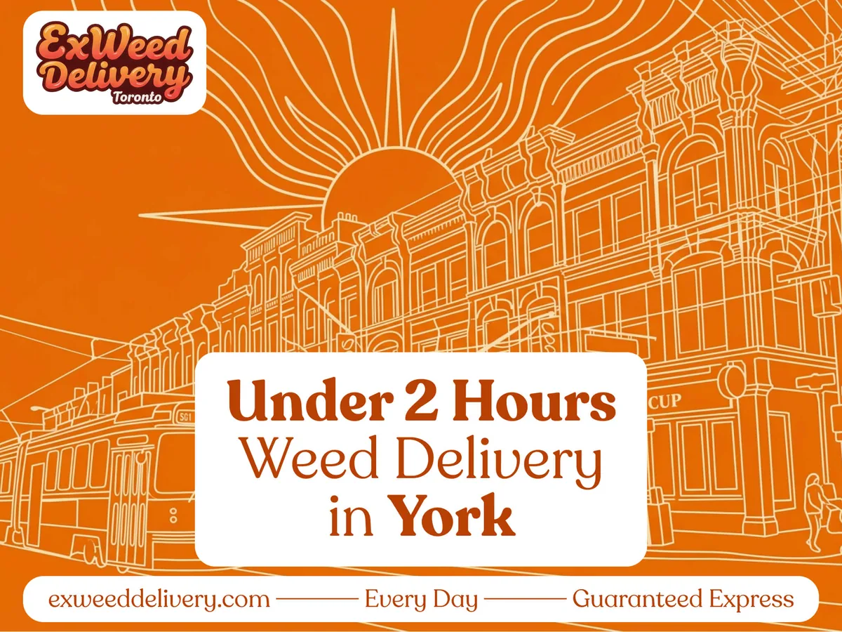 Weed delivery in York, Ontario by ExWeed Delivery