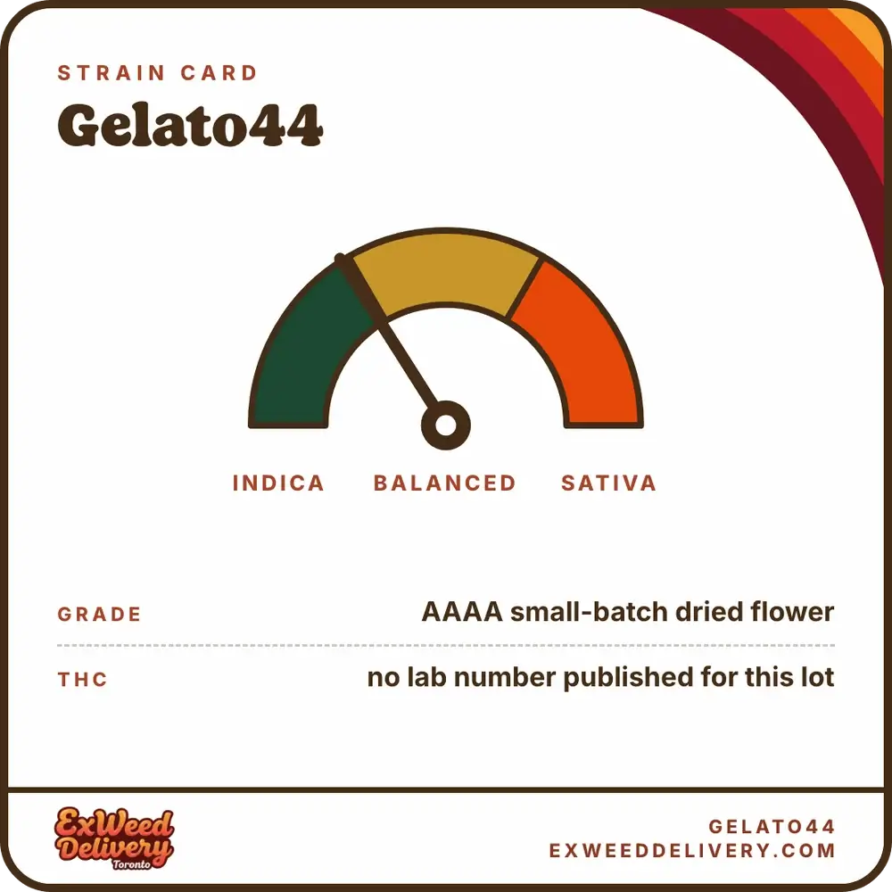 Gelato44 specs