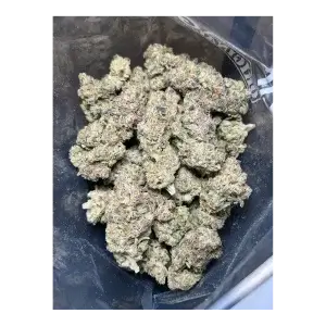 Gelato44