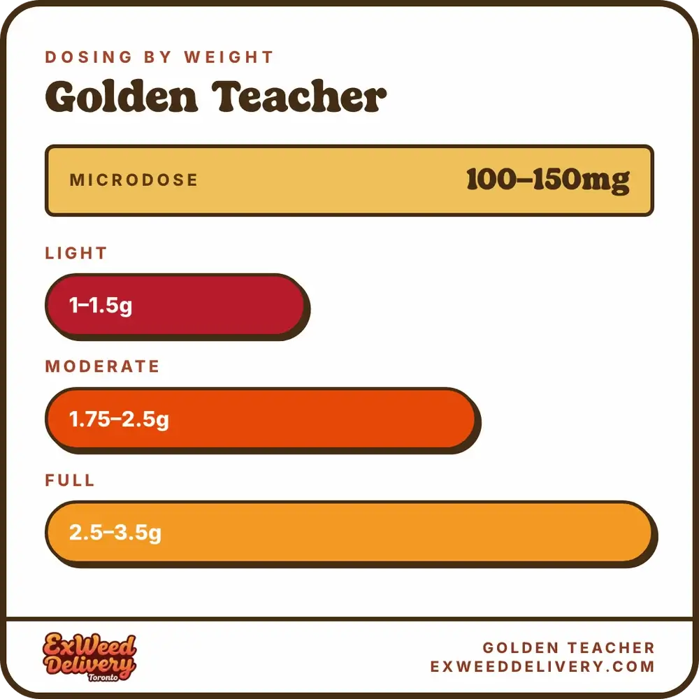 Golden Teacher dosage chart