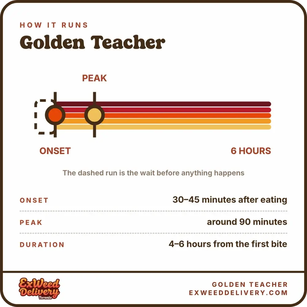 Golden Teacher onset and duration