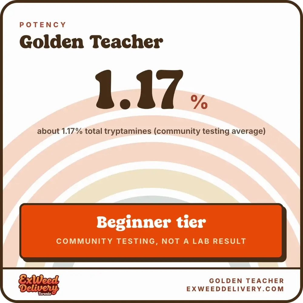 Golden Teacher potency