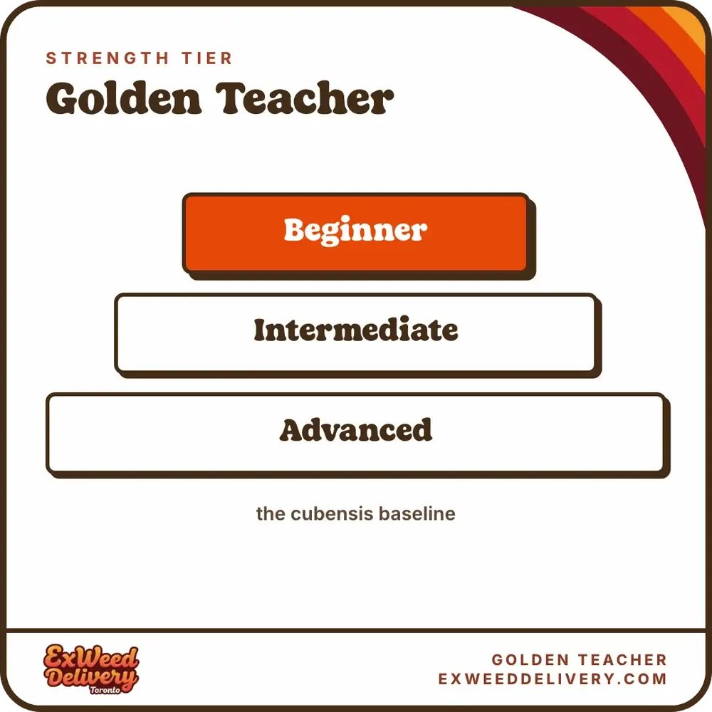 Golden Teacher strength tier