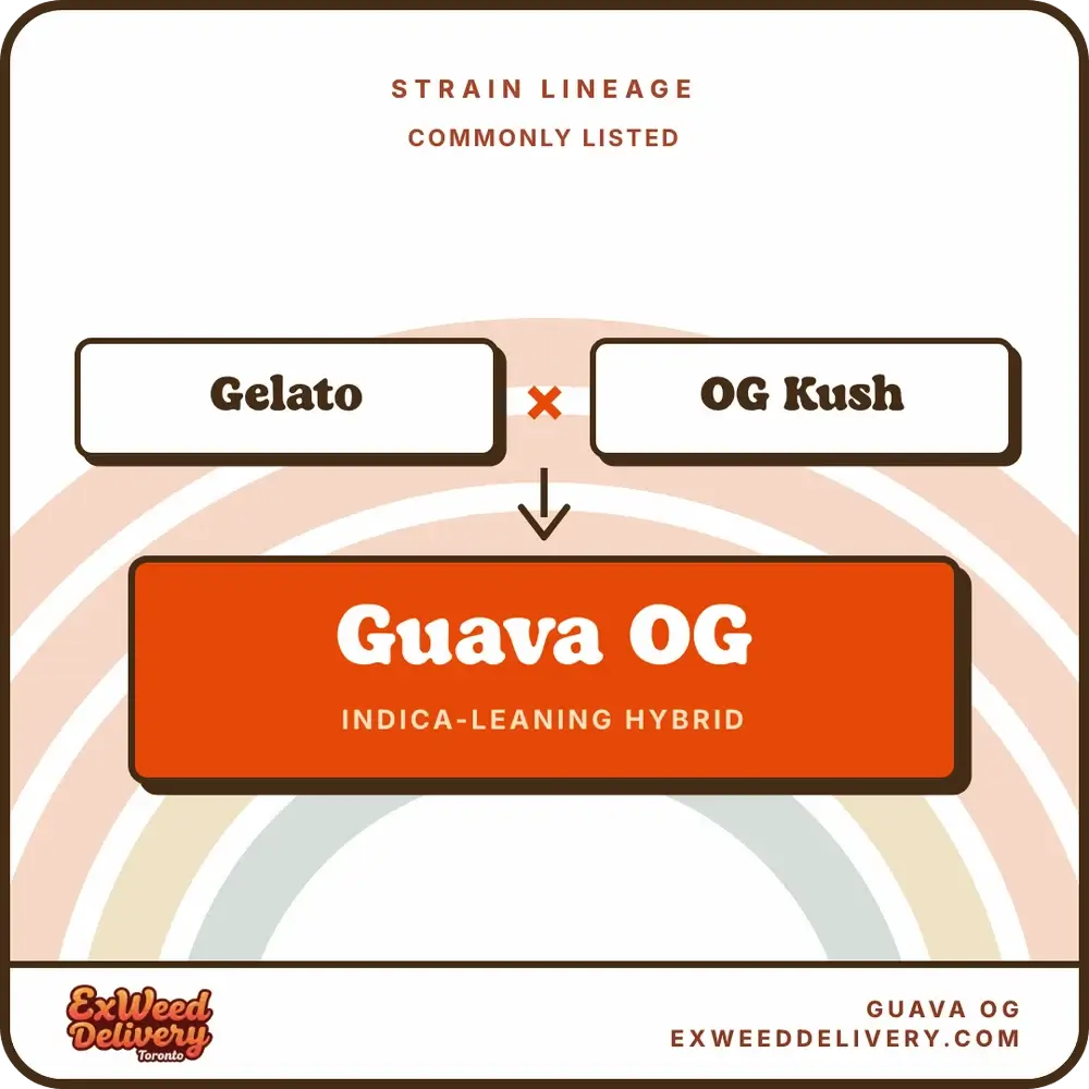 Guava OG lineage