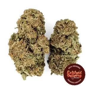 Frosted Fruit Cake