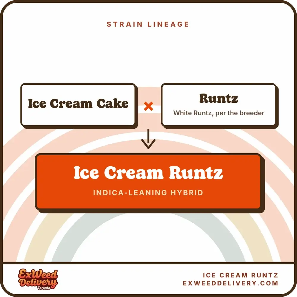 Ice Cream Runtz lineage