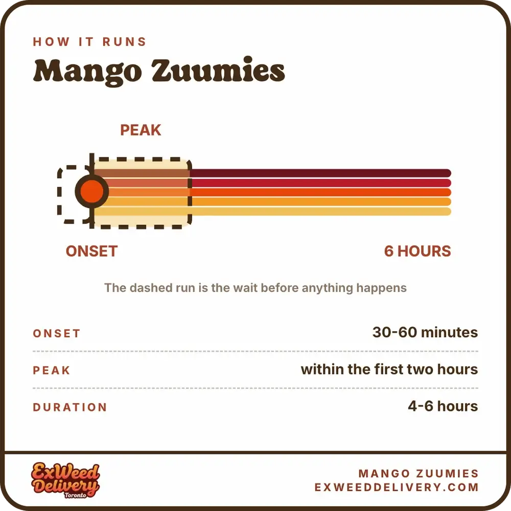 Mango Zuumies onset and duration