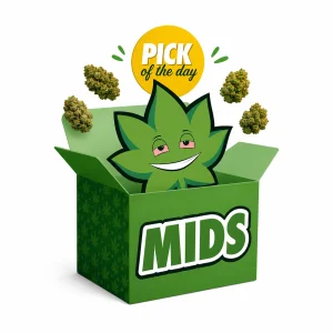 cheap weed toronto