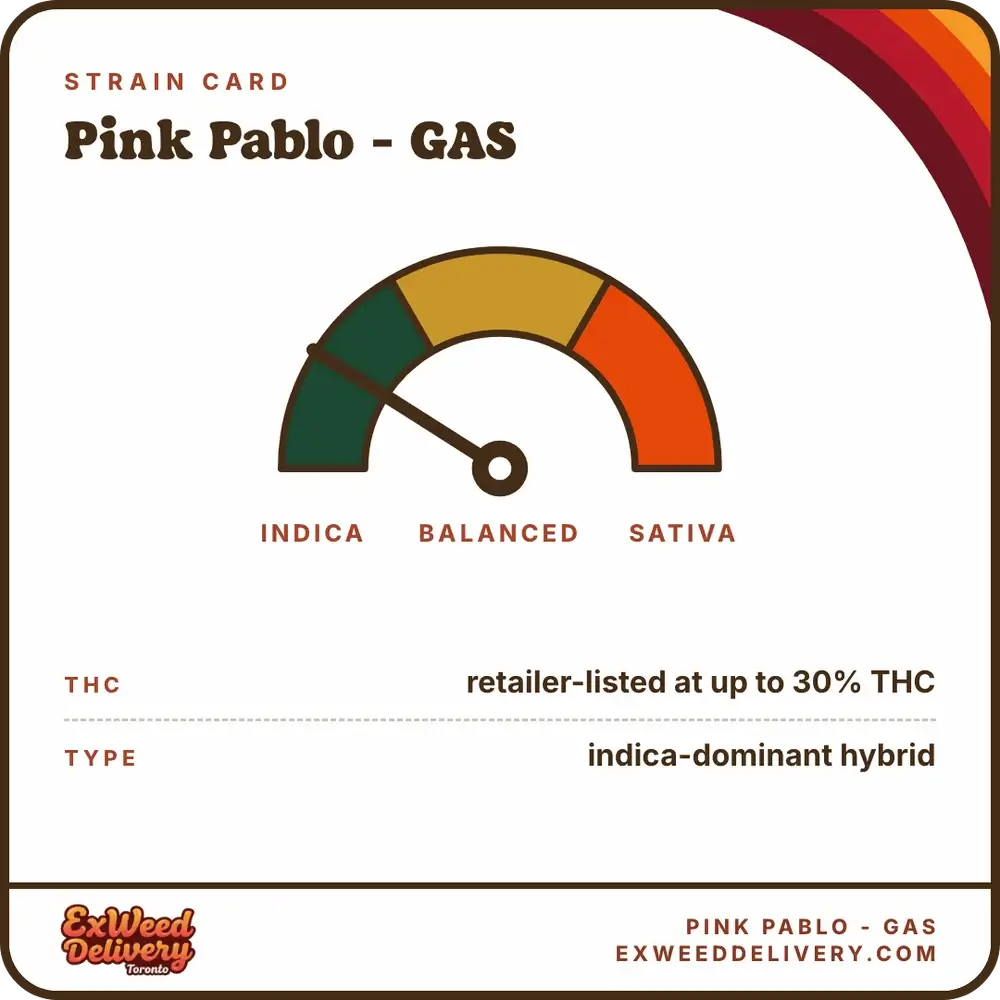 Pink Pablo - GAS specs