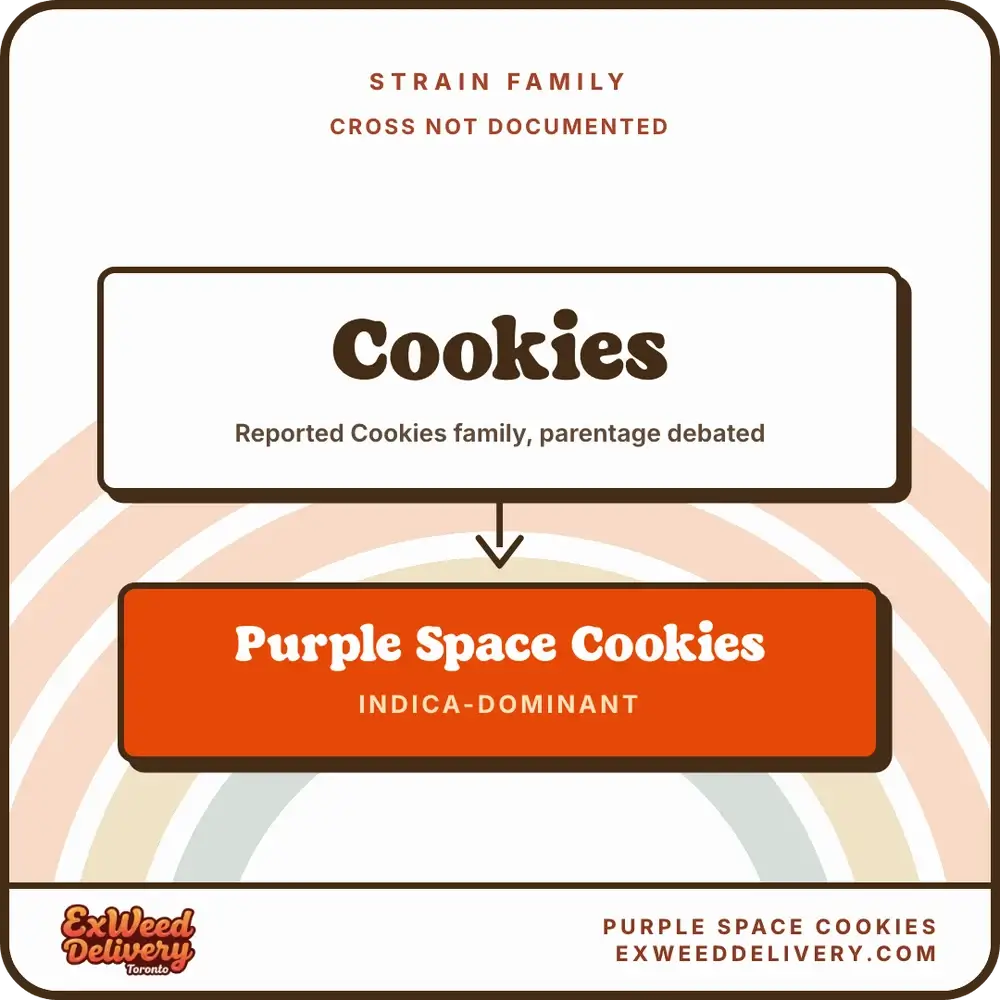 Purple Space Cookies family