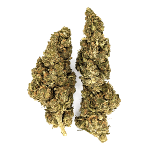 Guava OG