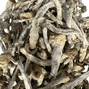 slim shady mushrooms